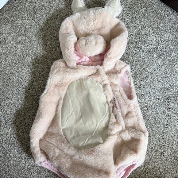 Pottery Barn Piggy Plush Baby Costume - Picture 1 of 3